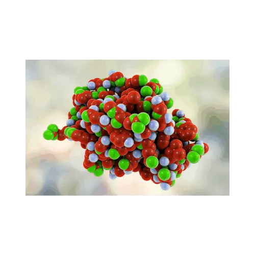 Lysozyme enzyme in Power Bite formula